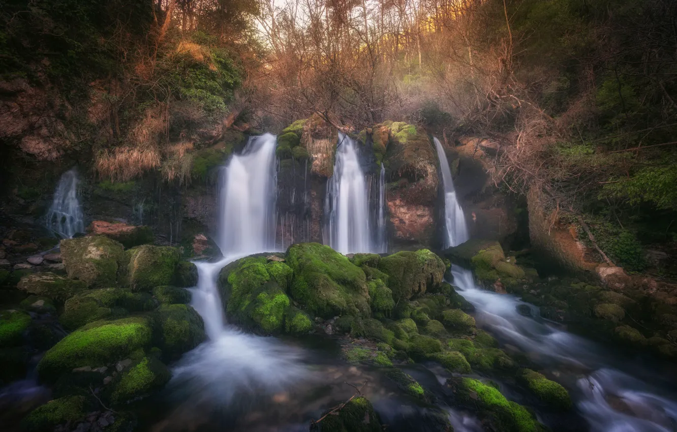 Photo wallpaper forest, nature, stones, waterfall, moss