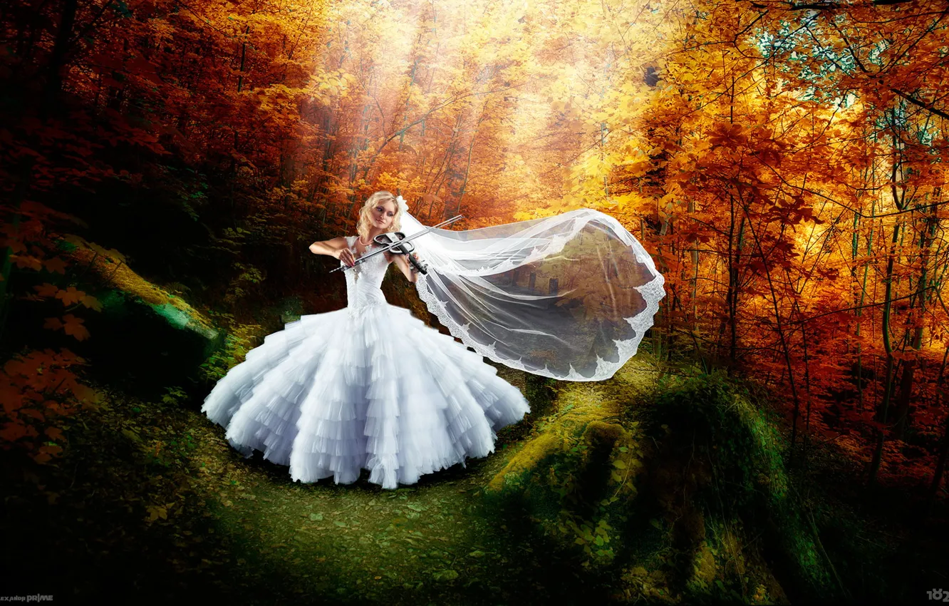 Photo wallpaper autumn, girl, joy, happiness, violin, dress, art, the bride