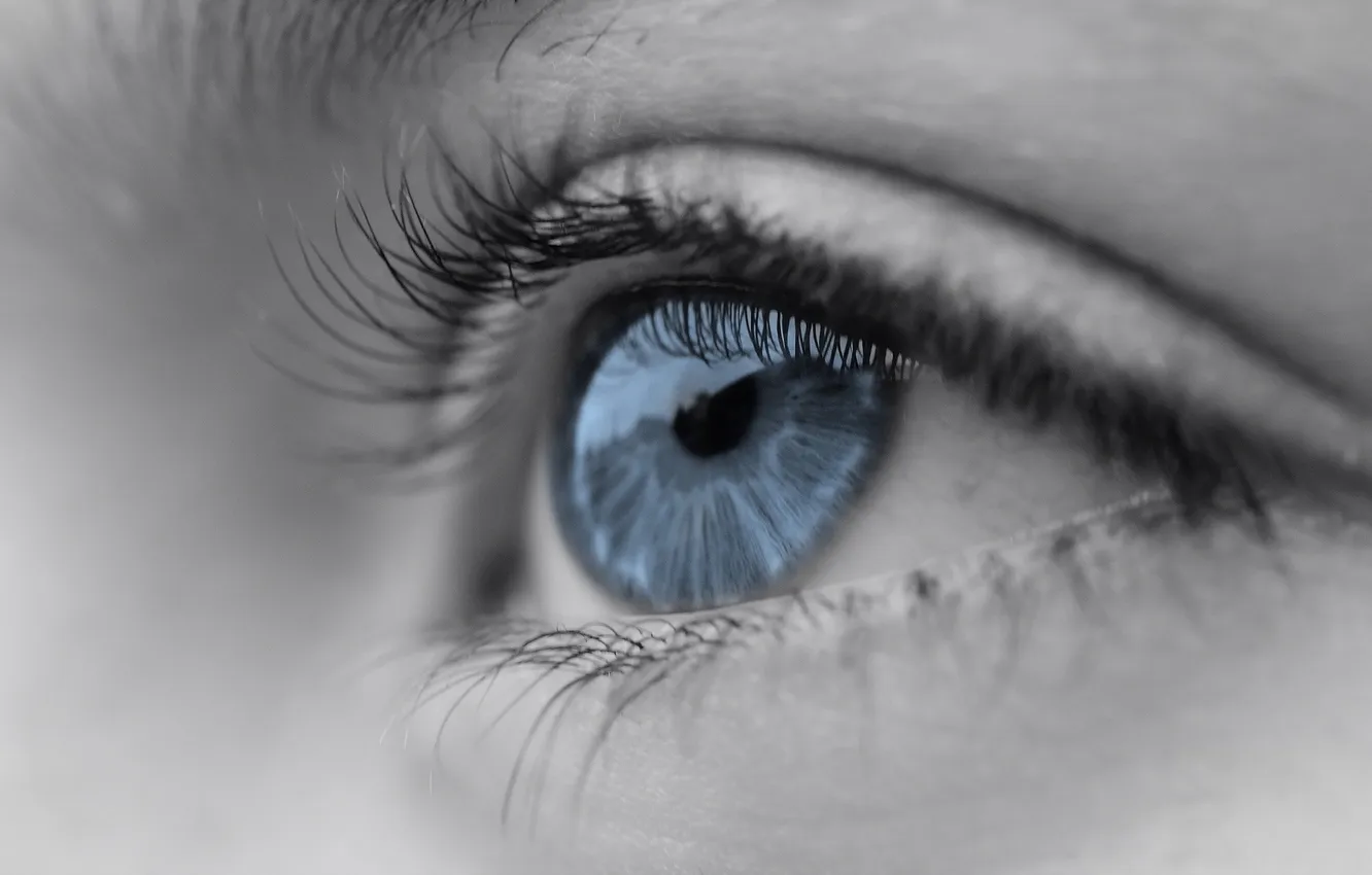 Photo wallpaper eyes, macro, background
