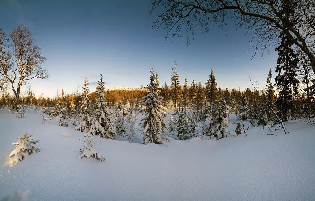 Photo wallpaper winter, snow, landscape