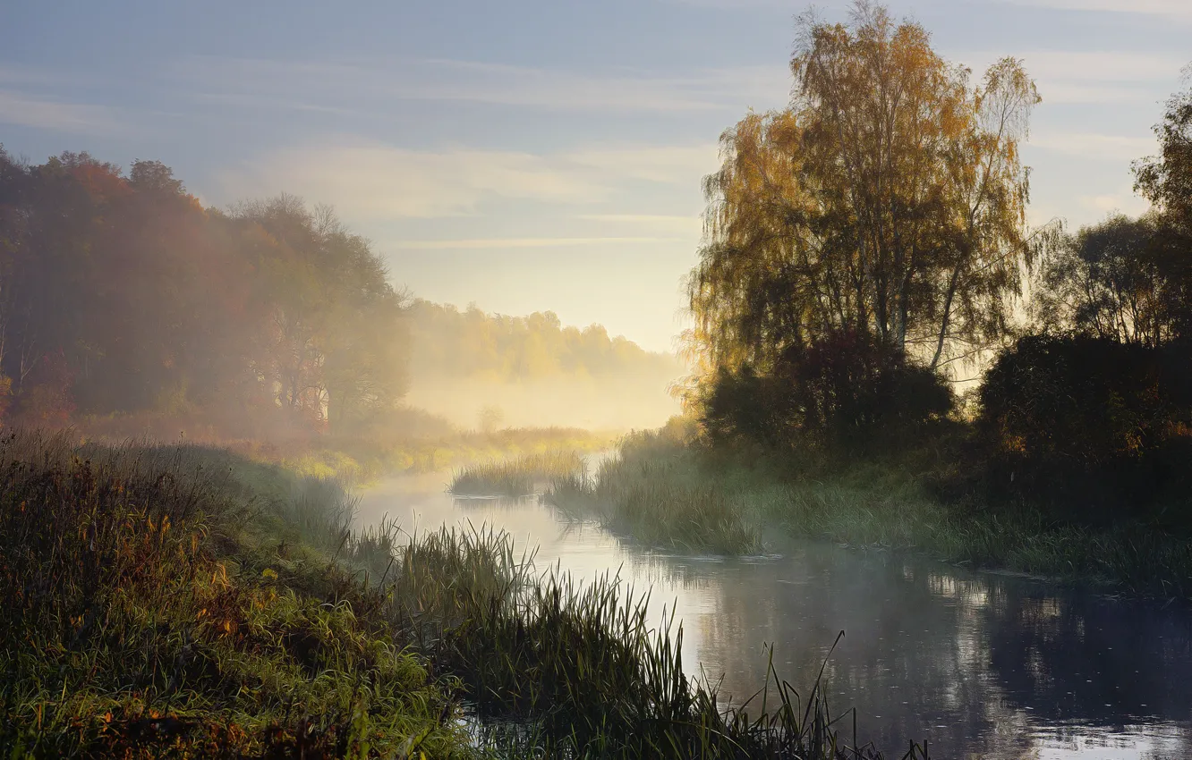 Photo wallpaper trees, fog, river, digital painting