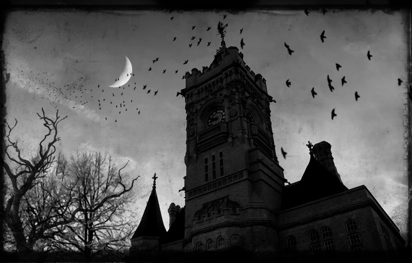 Photo wallpaper night, castle, Gothic, crows