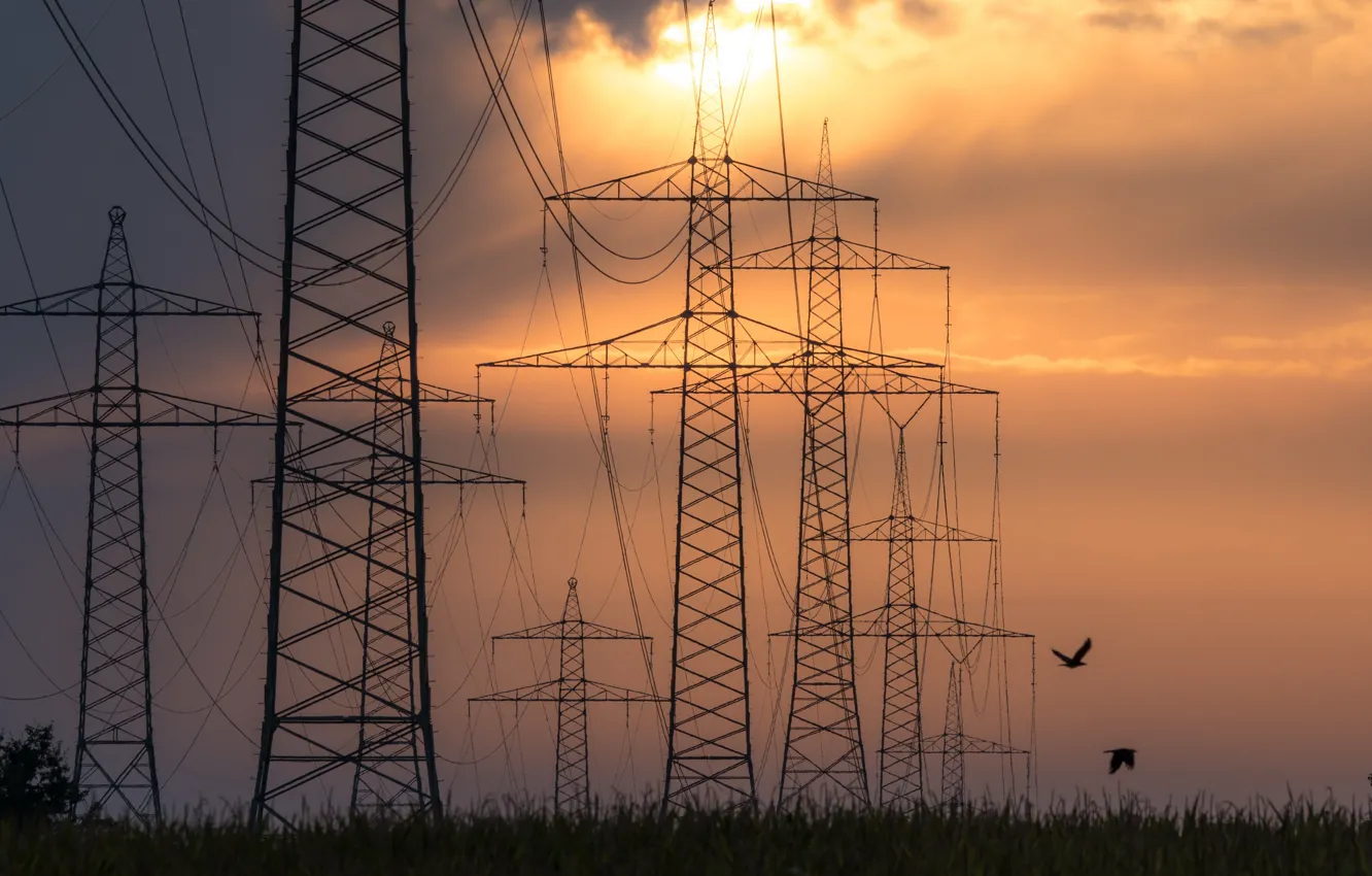 Photo wallpaper night, nature, power lines