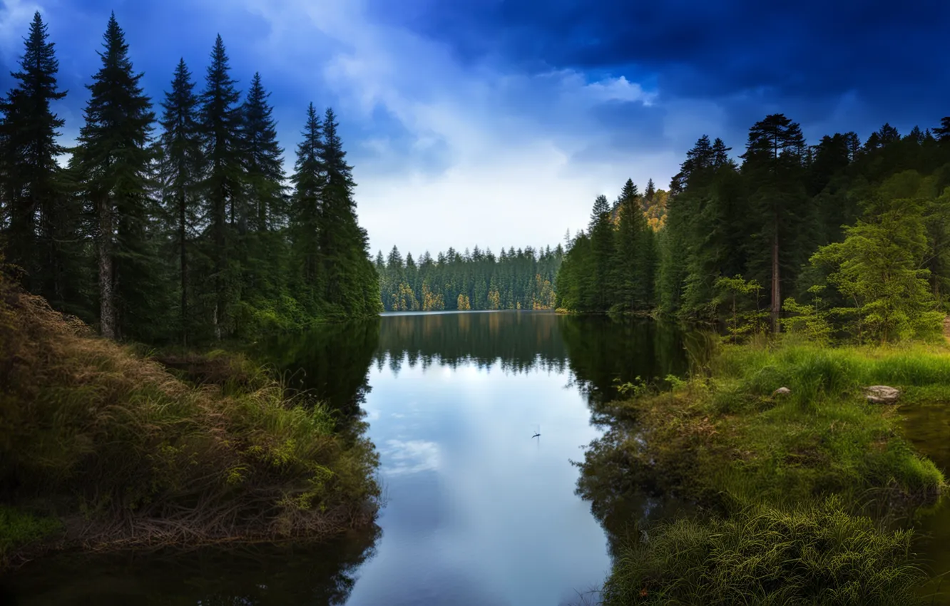 Photo wallpaper forest, the sky, clouds, trees, landscape, nature, lake, Forest Lake