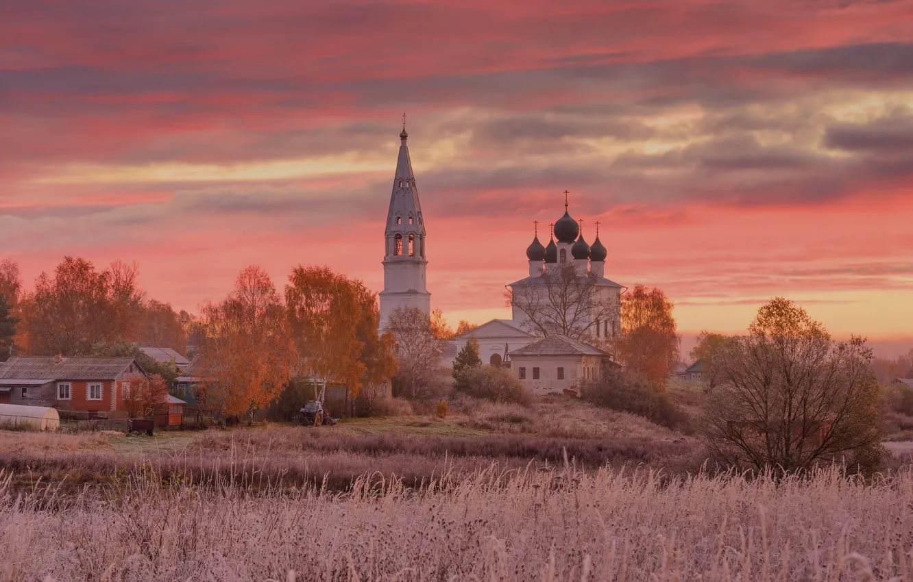 Photo wallpaper autumn, grass, trees, landscape, nature, home, morning, village