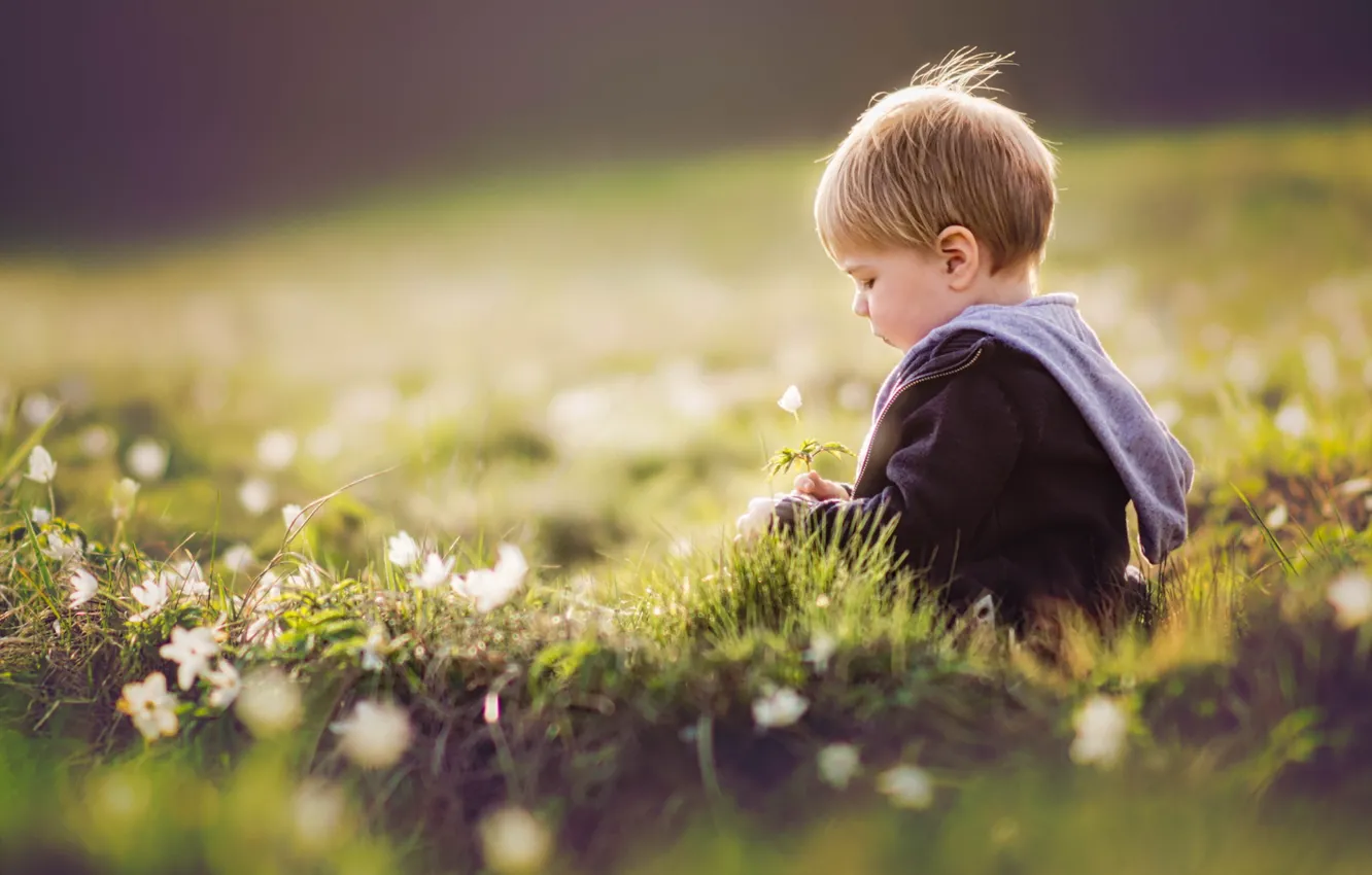 Photo wallpaper summer, flowers, boy