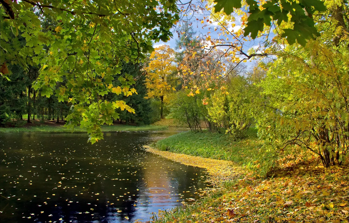 Photo wallpaper autumn, leaves, lake