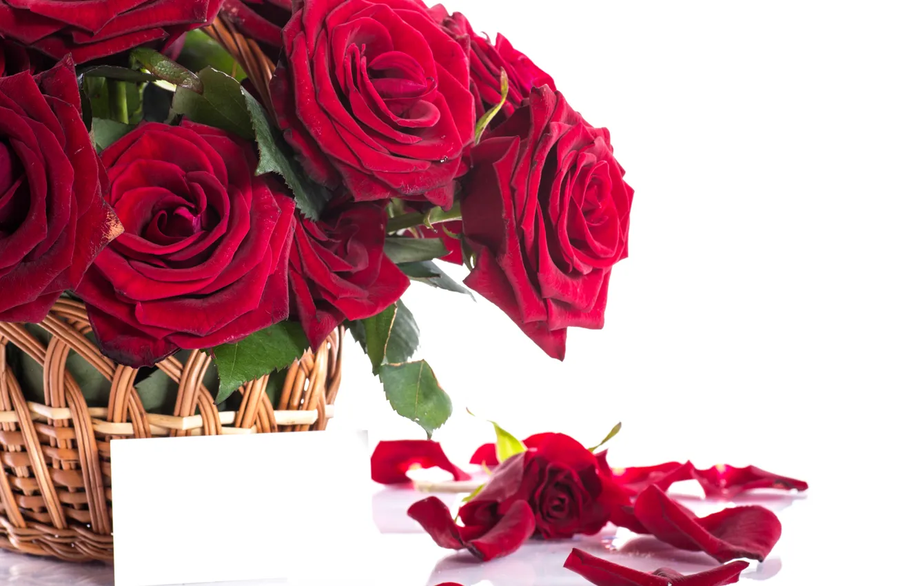 Photo wallpaper basket, romance, roses, petals, red, flower, beautiful, beautiful