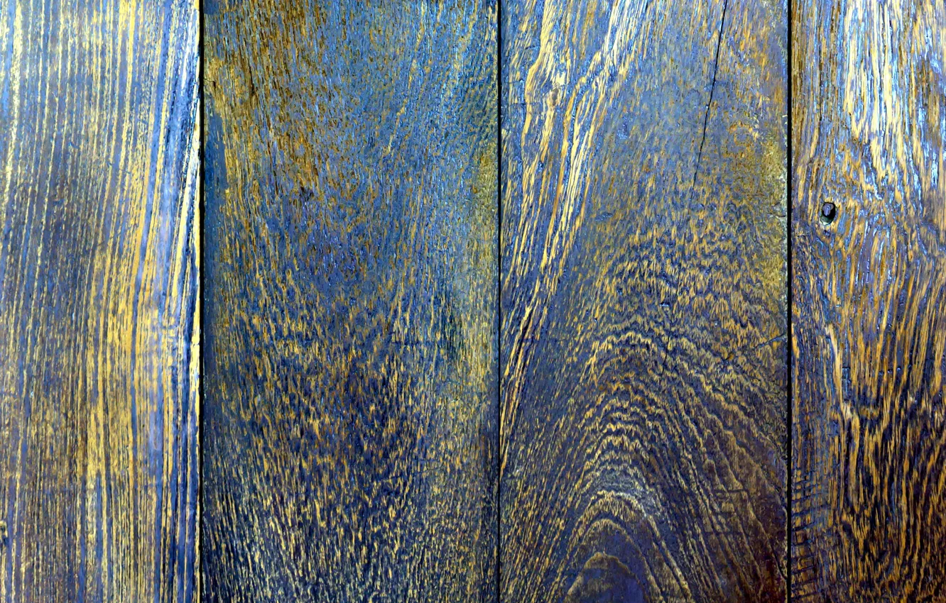 Photo wallpaper trees, table, old