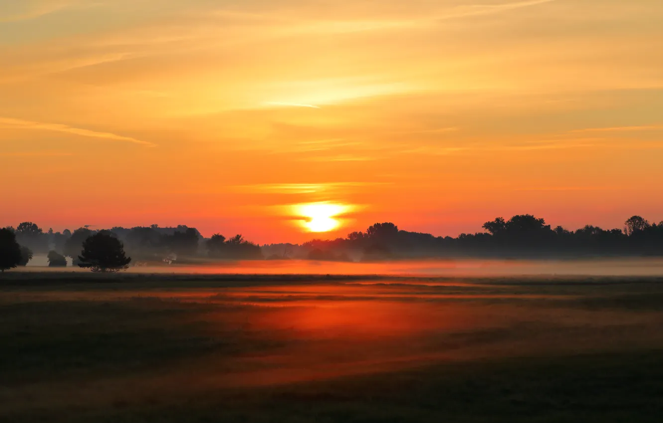 Photo wallpaper field, sunset, fog
