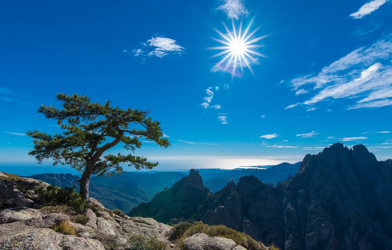 Photo wallpaper the sky, the sun, mountains, tree, France, France, Corsica, Corsica