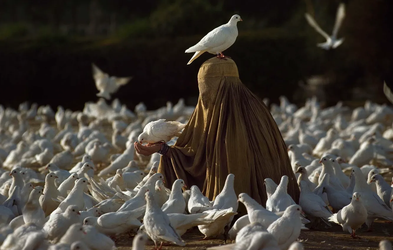 Photo wallpaper CLOTHING, PACK, BIRDS, PIGEONS, photographer Steve McCurry, HIJAB, BURQA, CHADRA