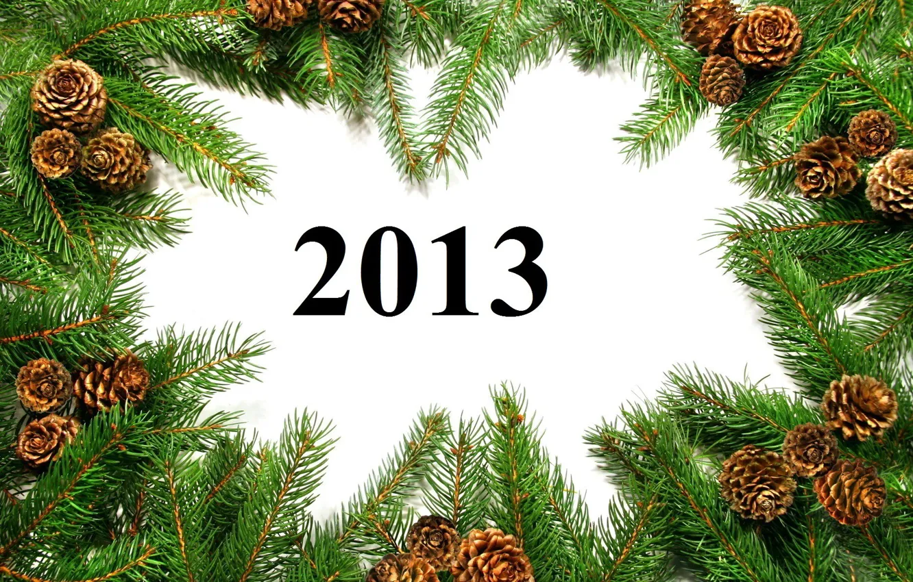 Photo wallpaper branches, Happy New Year, bumps, year, new, 2013