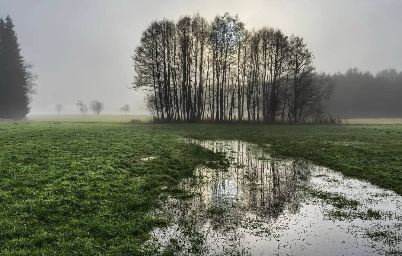 Photo wallpaper field, nature, puddle
