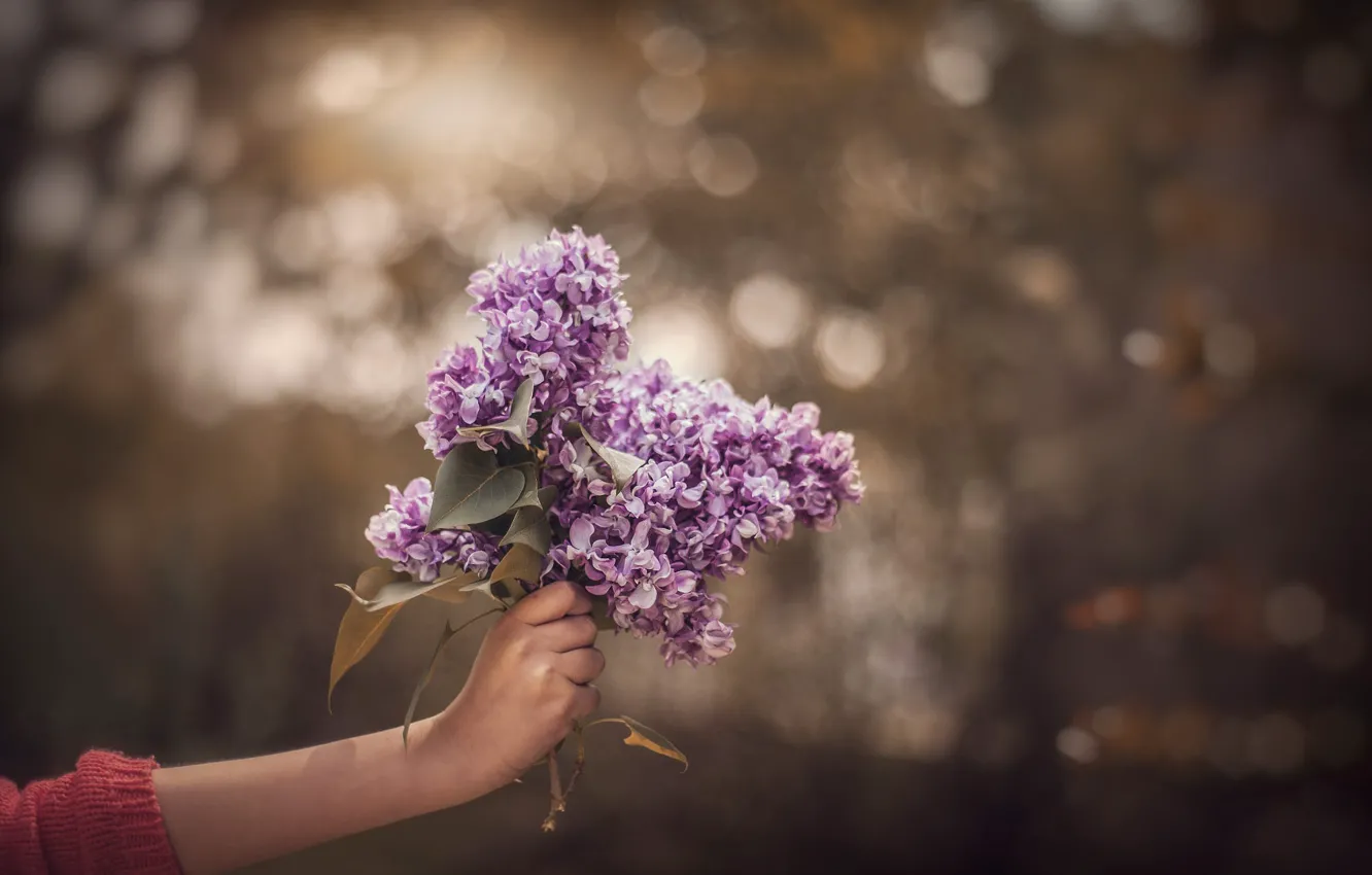 Photo wallpaper branches, lilac, bokeh