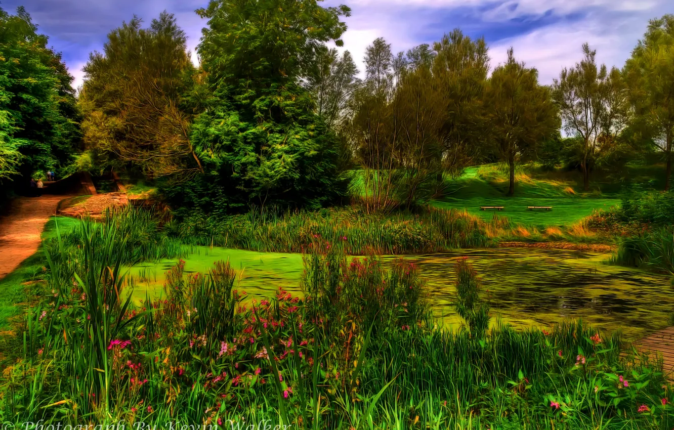 Photo wallpaper trees, pond, Park, England, treatment, Oldham