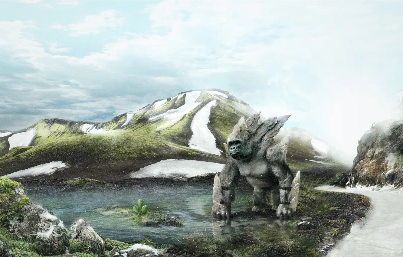 Photo wallpaper snow, lake, gorilla, desktopography