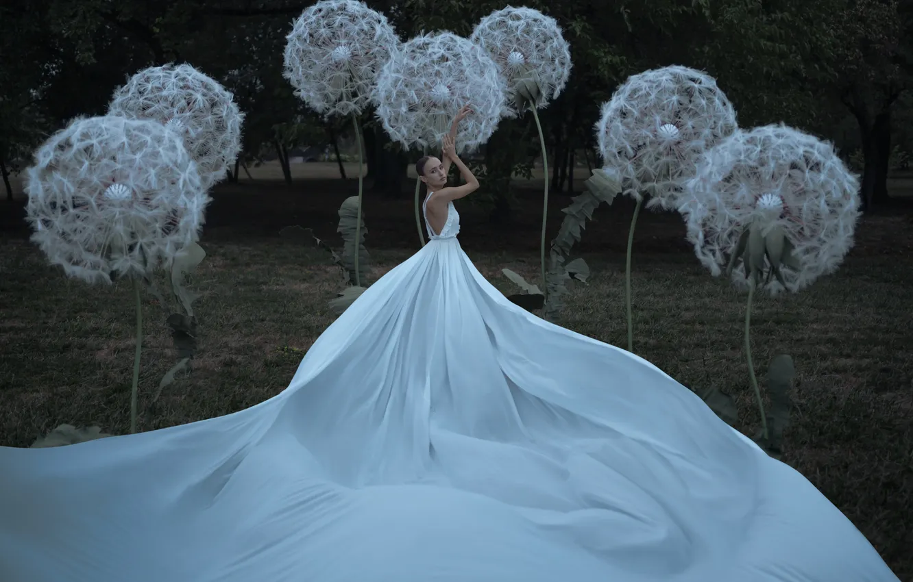 Photo wallpaper girl, flowers, nature, pose, style, dandelion, glade, the scenery