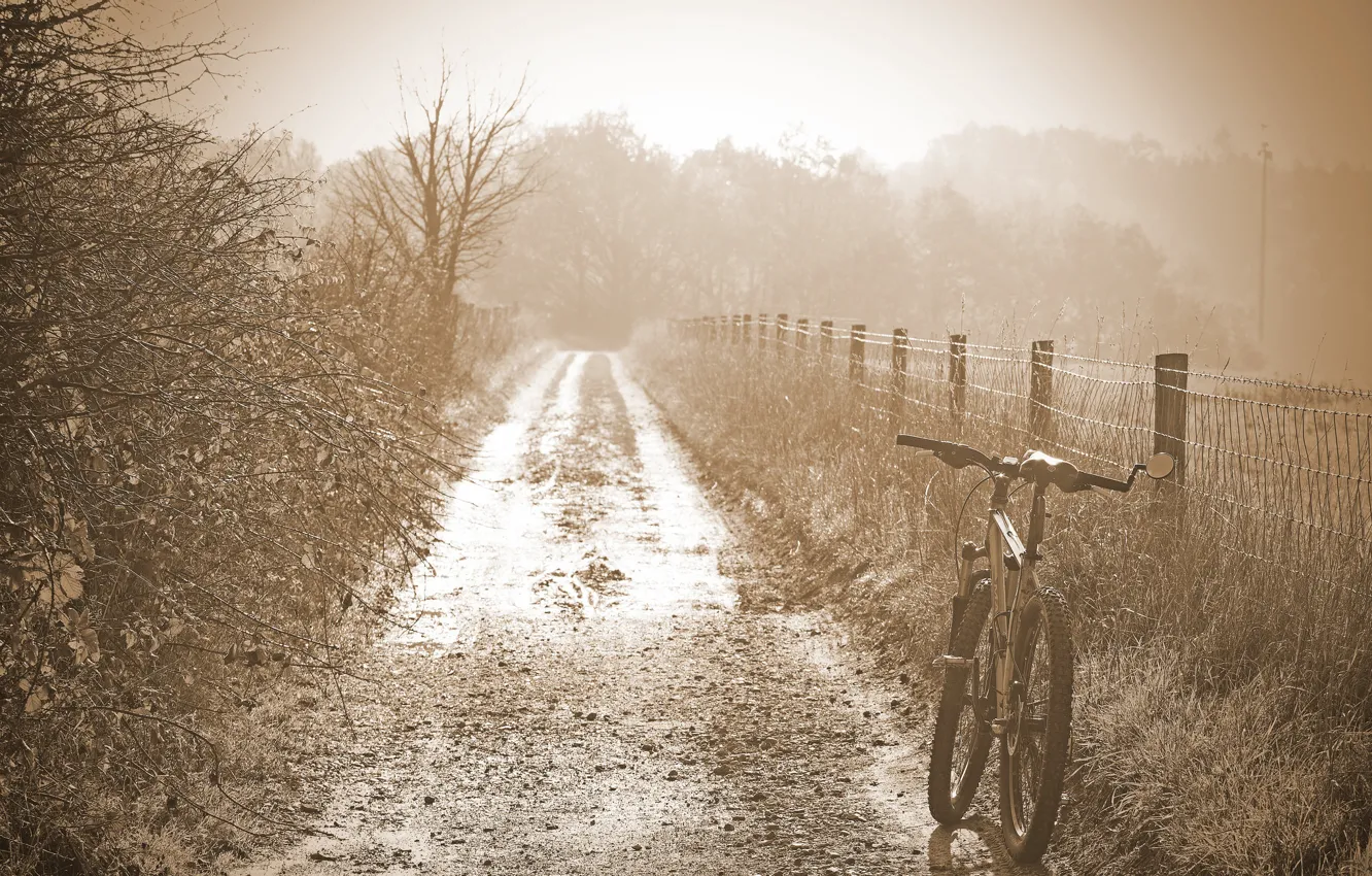 Photo wallpaper road, bike, fog, morning