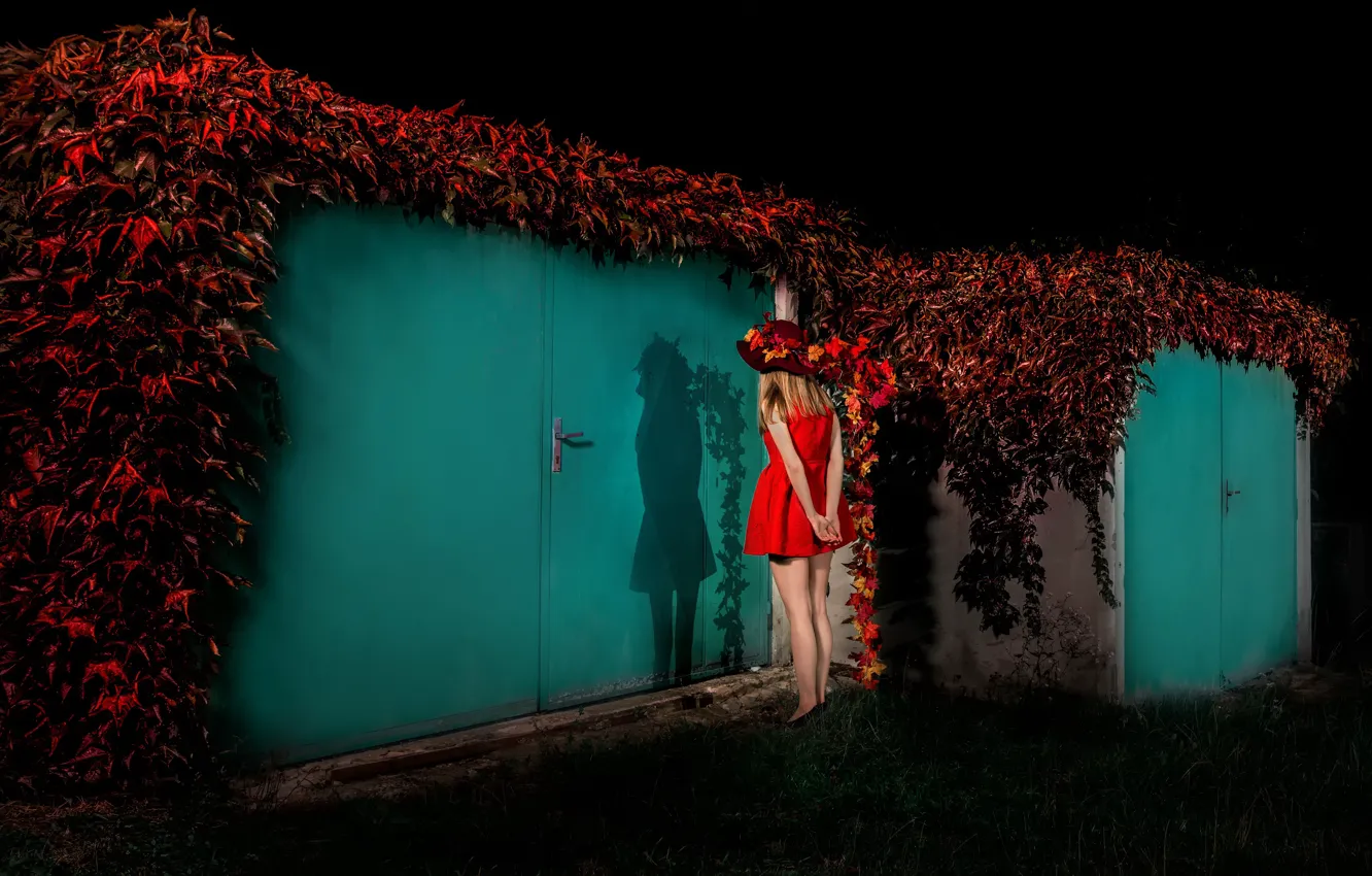 Photo wallpaper girl, dress, the door, legs, in red