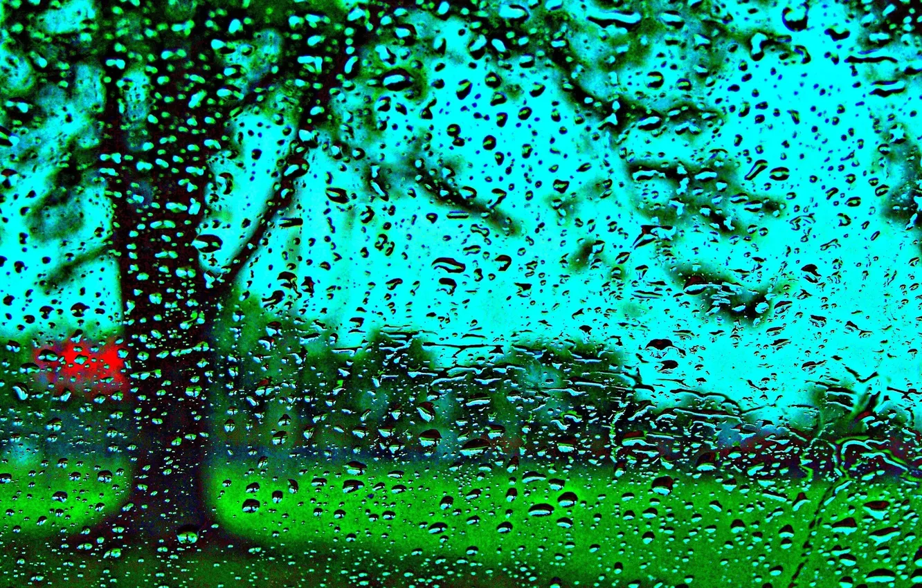 Photo wallpaper glass, water, drops, rain, window
