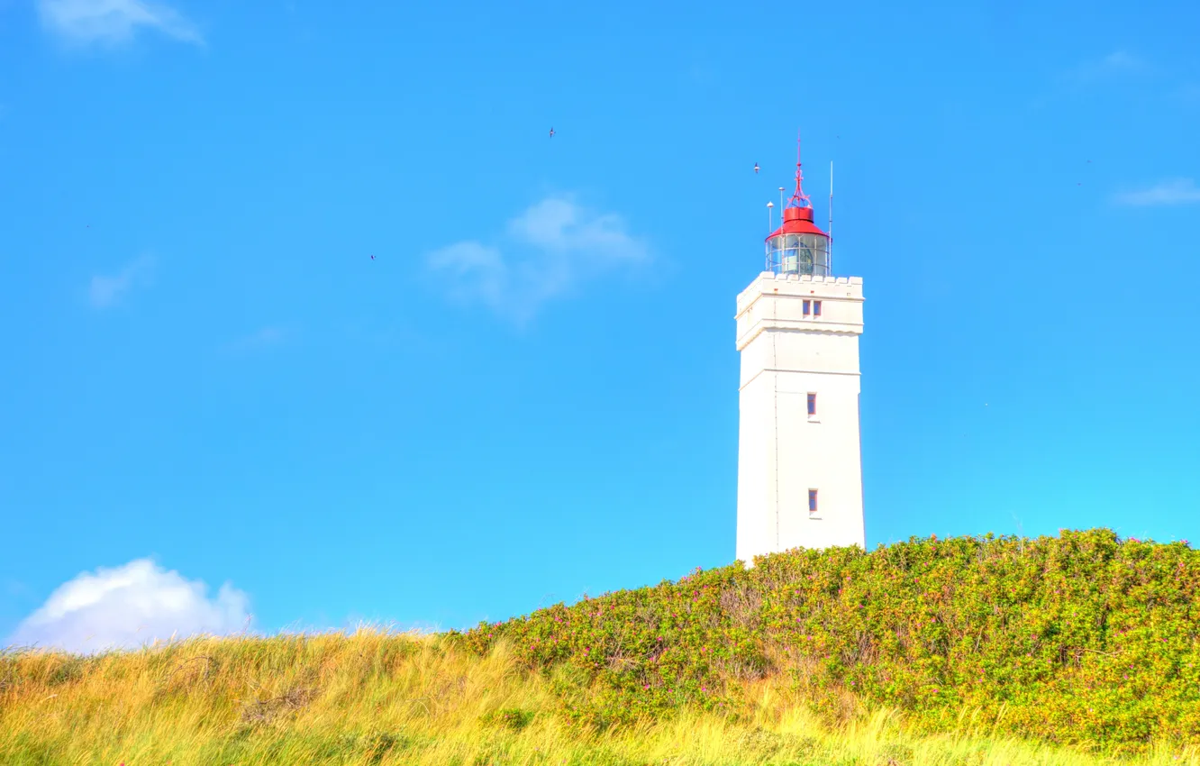 Photo wallpaper summer, the sky, flight, birds, lighthouse