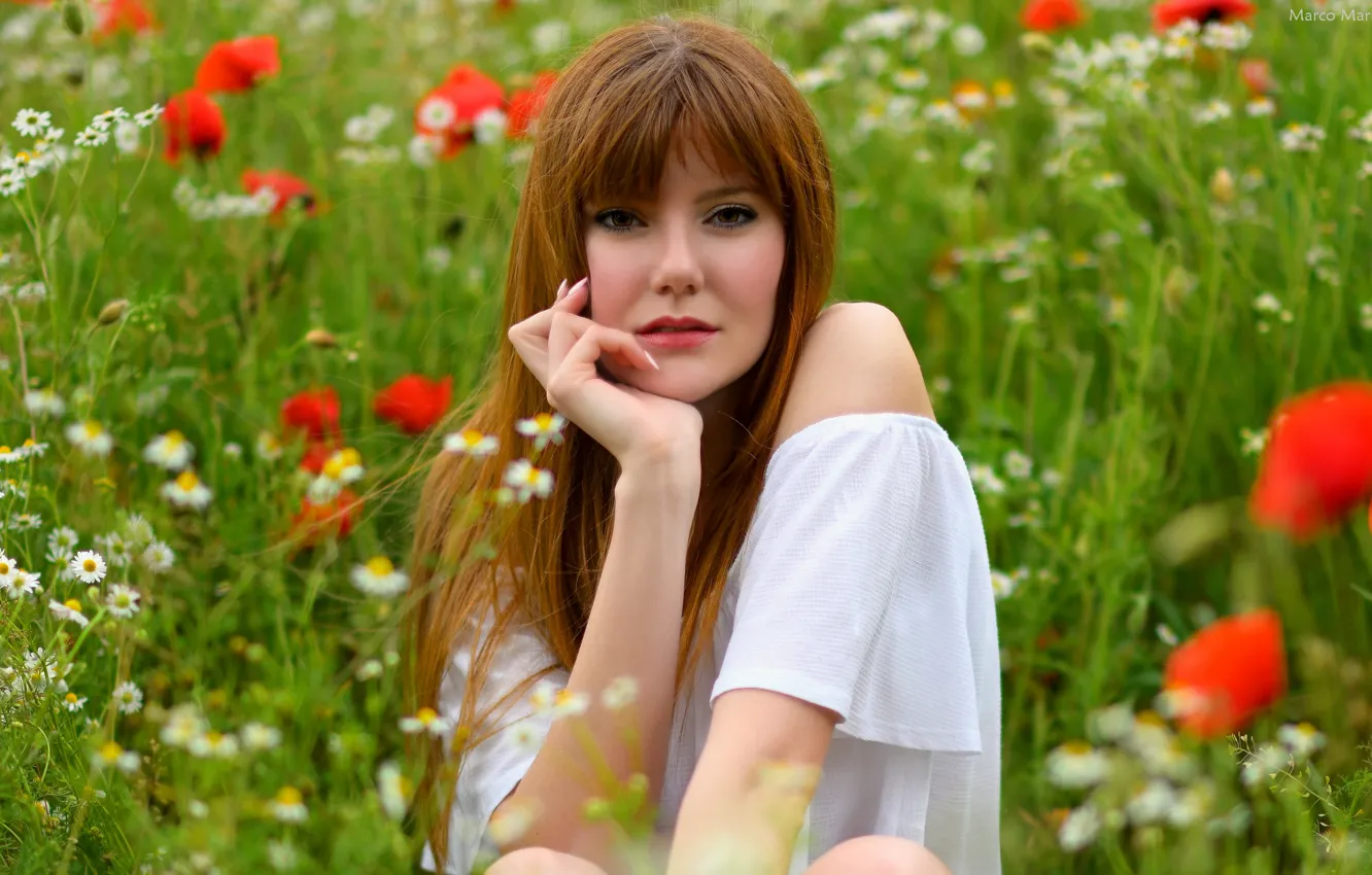 Photo wallpaper field, look, girl, hair, Maki, brown hair