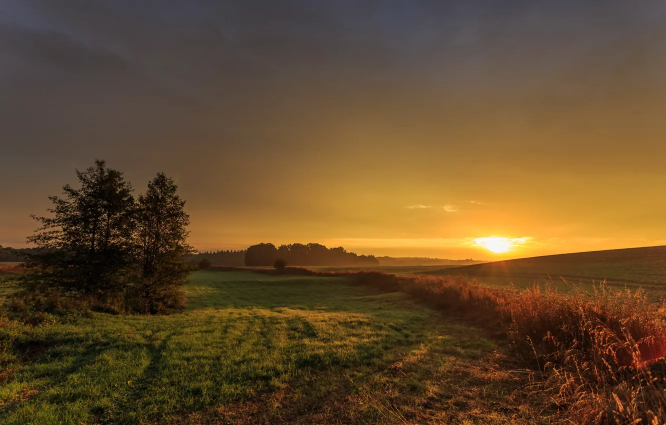 Photo wallpaper field, landscape, sunset