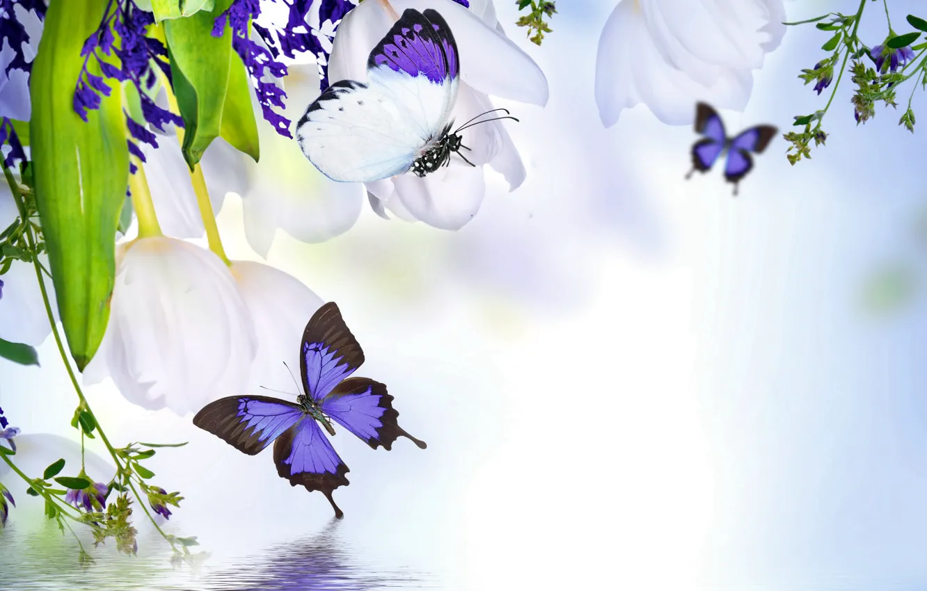 Photo wallpaper water, butterfly, reflection, spring, tulips, flowering, water, blossom
