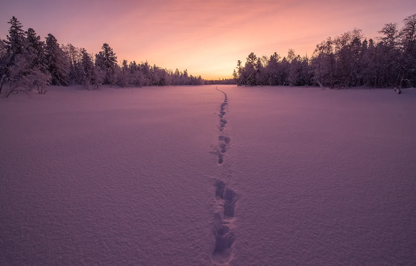 Photo wallpaper winter, snow, sunset, traces