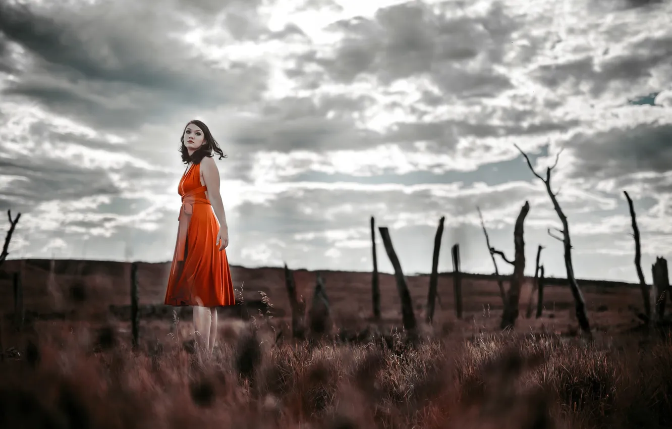 Photo wallpaper look, girl, background