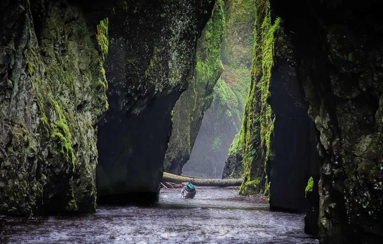 Photo wallpaper nature, river, rocks, photographer, gorge