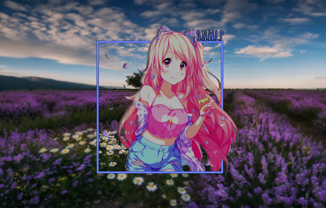 Photo wallpaper field, girl, joy, sunset, chamomile, anime, lilac, madskillz