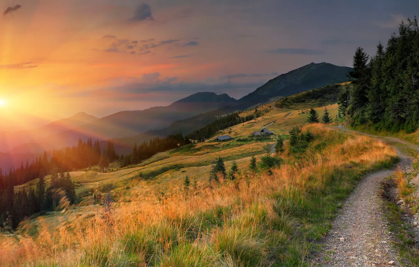 Photo wallpaper road, the sky, grass, the sun, rays, trees, mountains, dawn