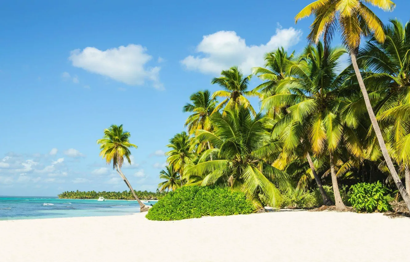 Photo wallpaper sand, sea, beach, palm trees