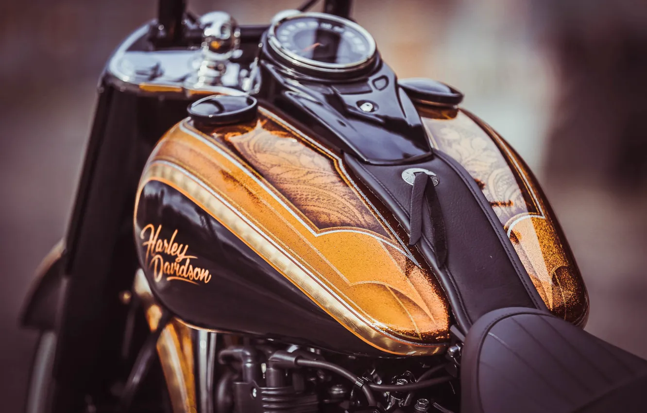 Photo wallpaper Harley Davidson, Harley-Davidson, Macro, Motorcycle