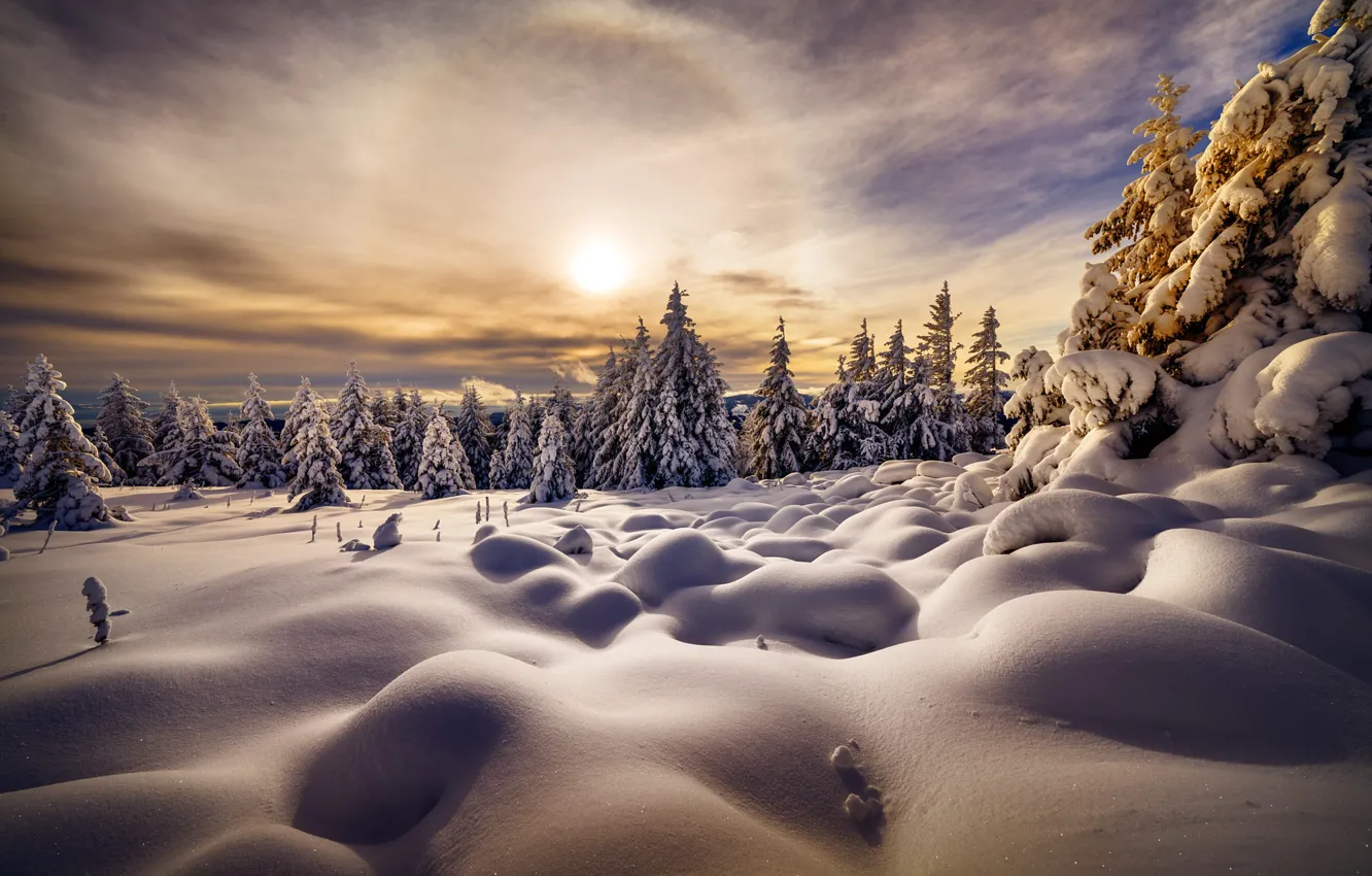 Photo wallpaper winter, snow, trees, landscape, nature, ate, the snow, halo