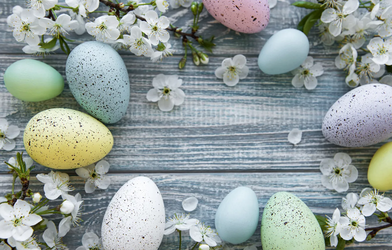 Photo wallpaper flowers, eggs, spring, colorful, Easter, flowers, spring, Easter