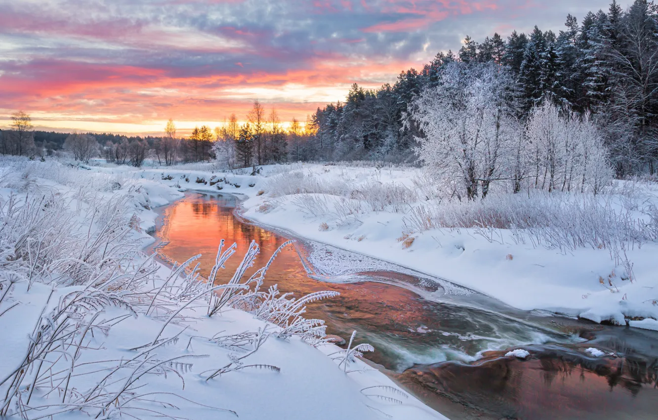 Photo wallpaper winter, forest, snow, landscape, branches, nature, river, Bank