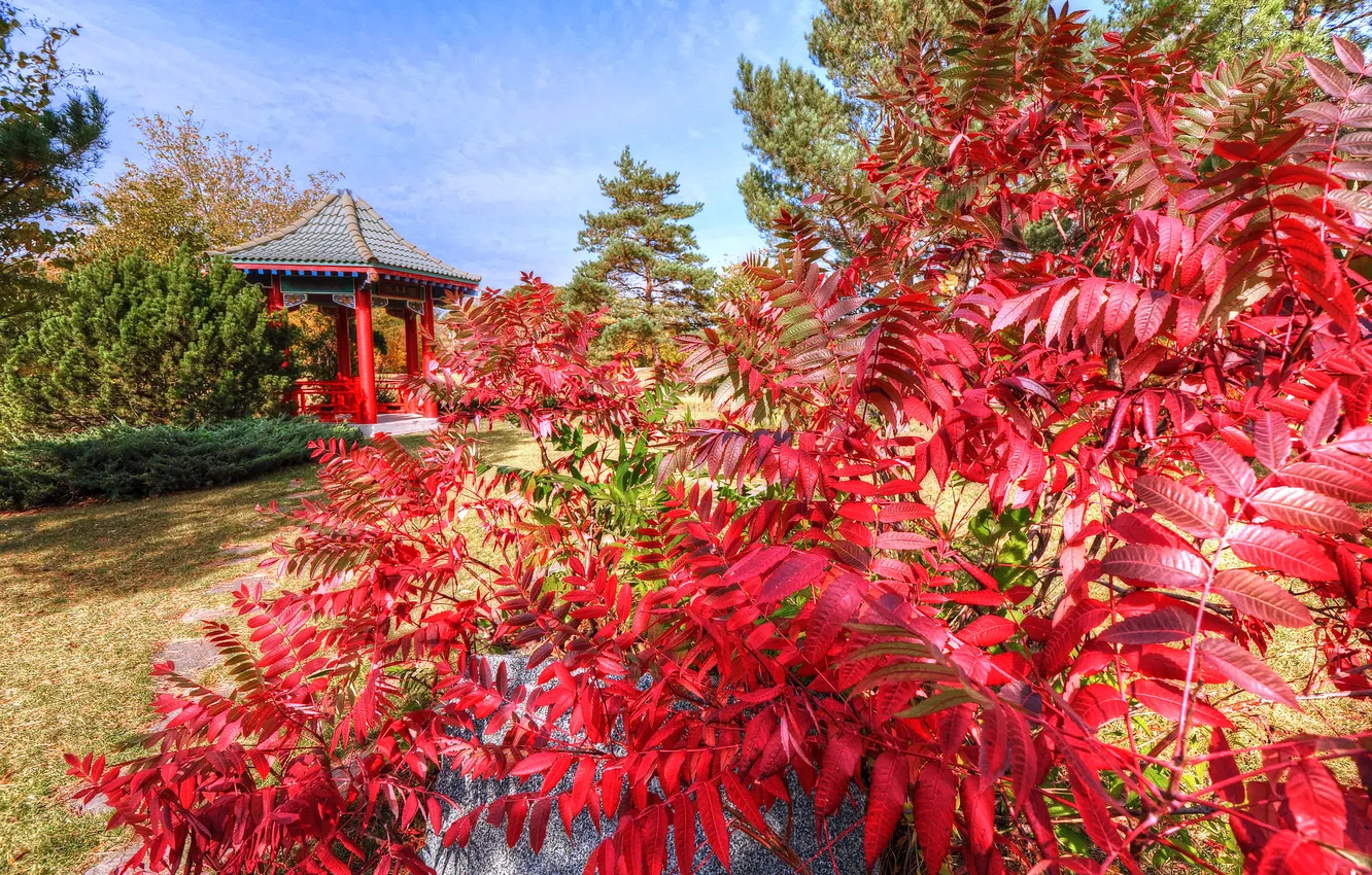 Photo wallpaper autumn, the sky, leaves, clouds, stones, gazebo, tree, Japanese garden