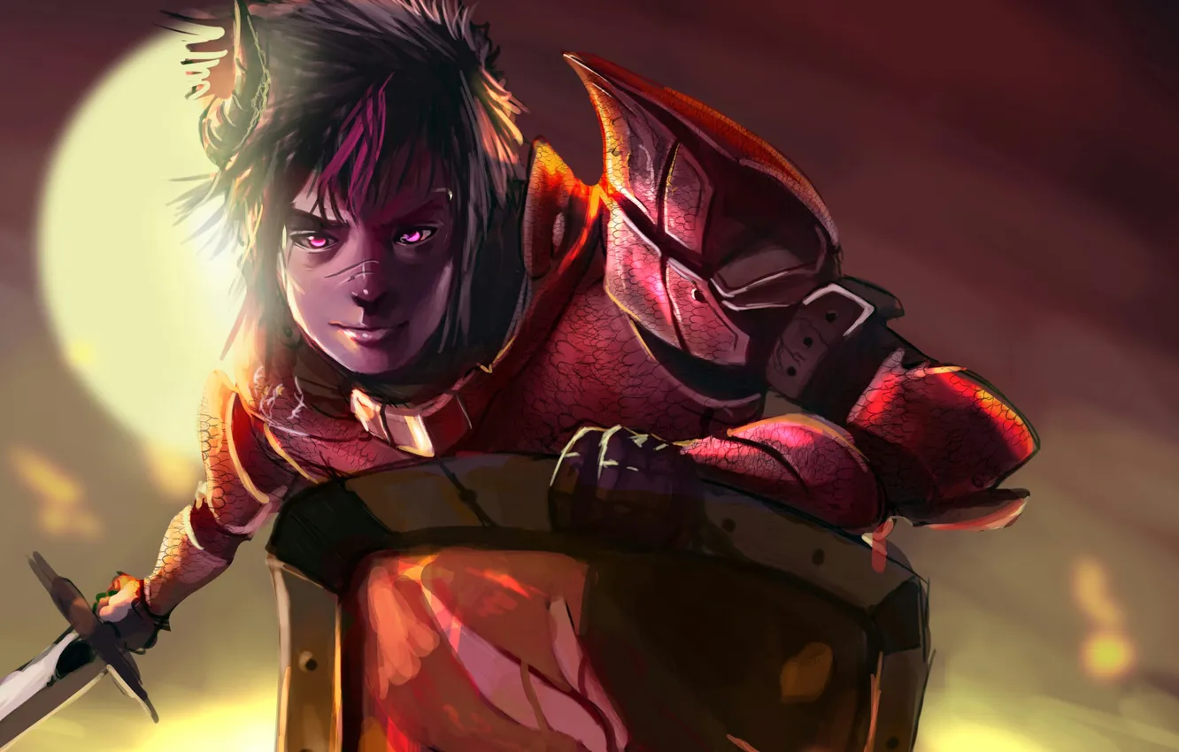 Photo wallpaper the moon, sword, guy, shield