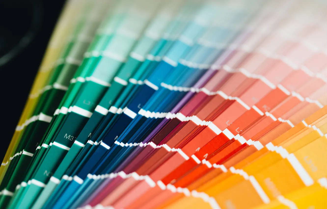 Photo wallpaper colors, variety, palette, catalog
