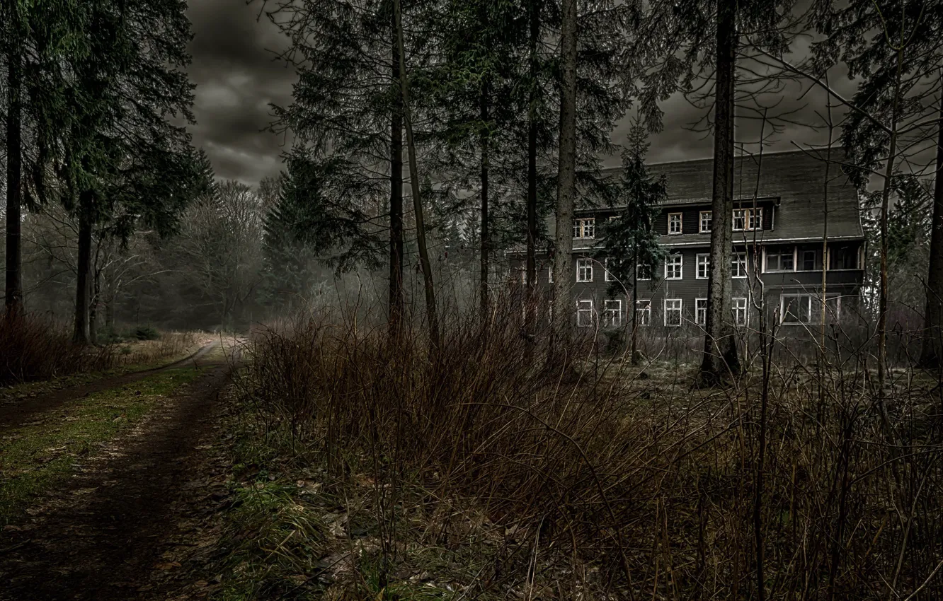 Photo wallpaper road, forest, house, the darkness