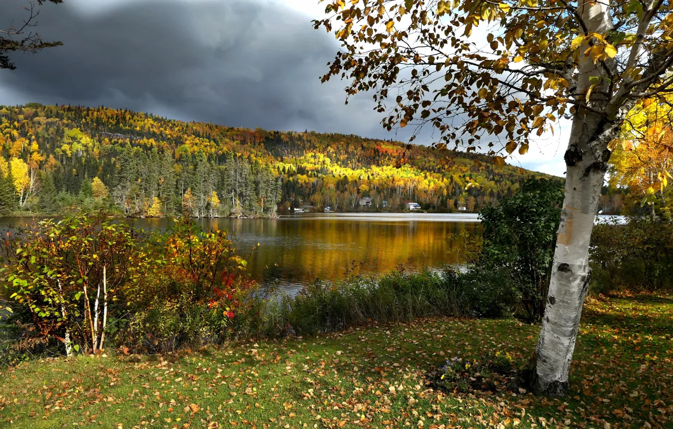 Photo wallpaper autumn, forest, trees, landscape, clouds, nature, lake, hills