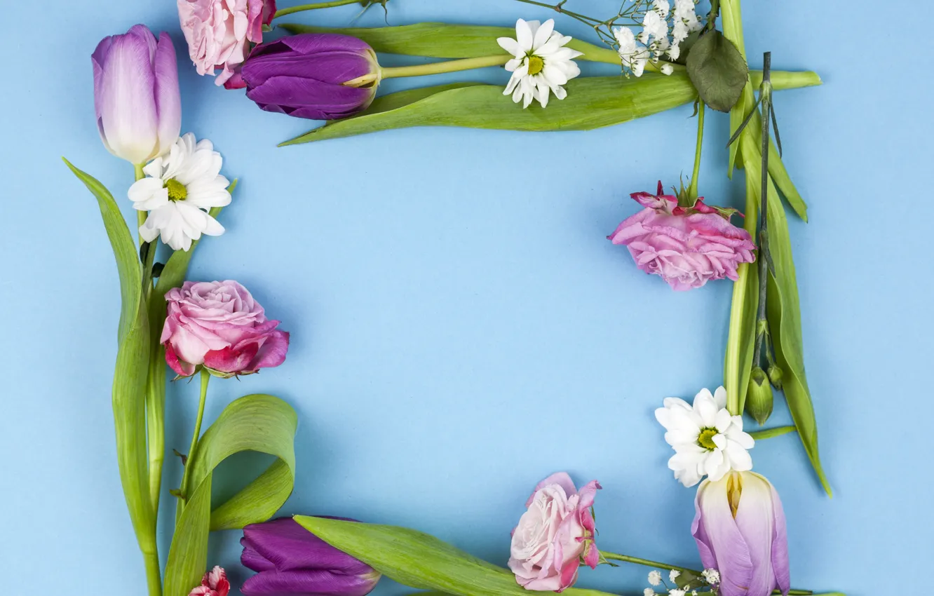 Photo wallpaper flowers, background, blue, composition