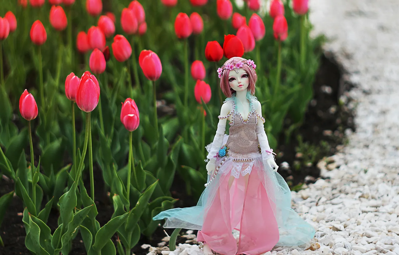 Photo wallpaper toy, doll, tulips