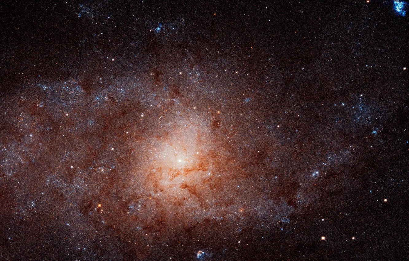 Photo wallpaper Spiral galaxy, NGC 598, constellation Triangulum, The Triangulum Galaxy, Messier 33