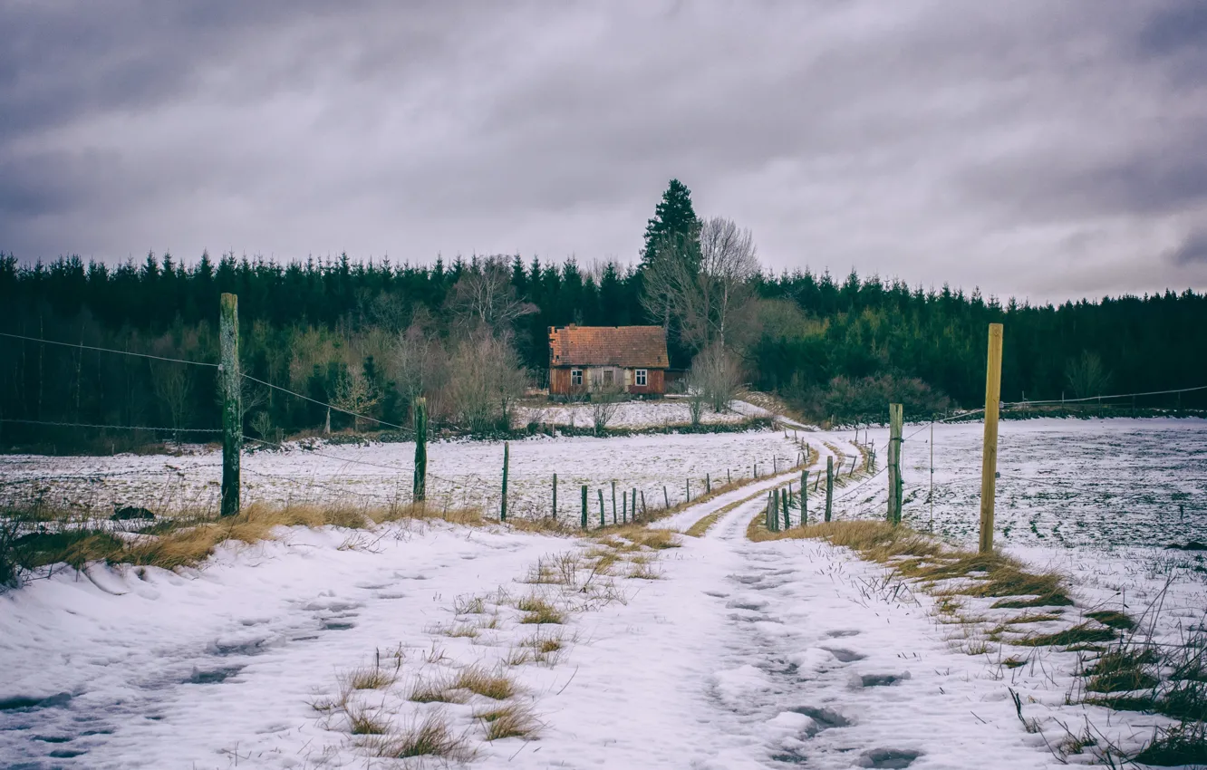 Photo wallpaper winter, road, field, snow, house, the fence, Homeland