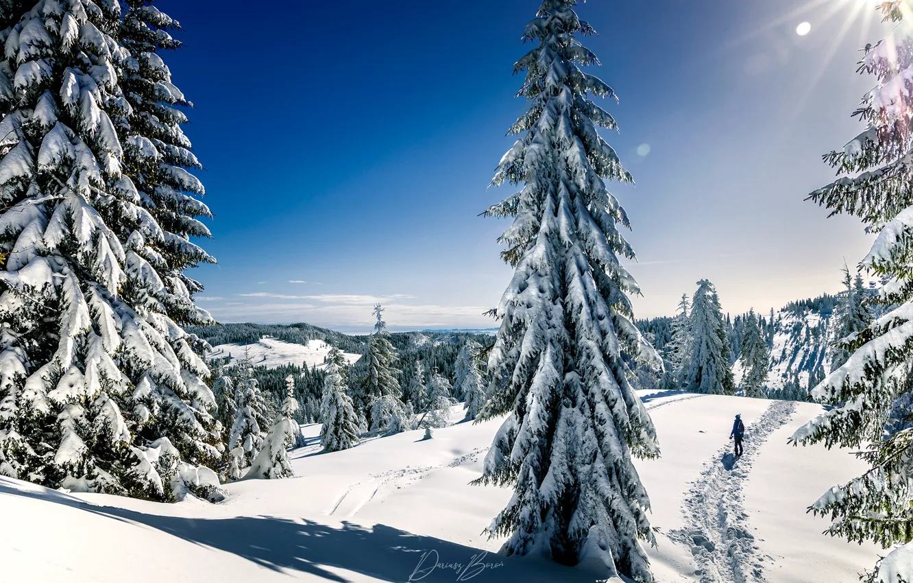Photo wallpaper winter, the sun, rays, snow, trees, landscape, mountains, nature