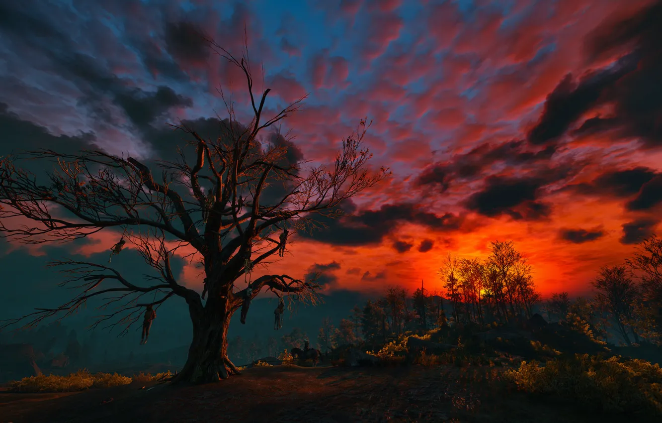 Photo wallpaper the sky, clouds, night, tree, The Witcher, gallows, The Witcher 3:Wild Hunt